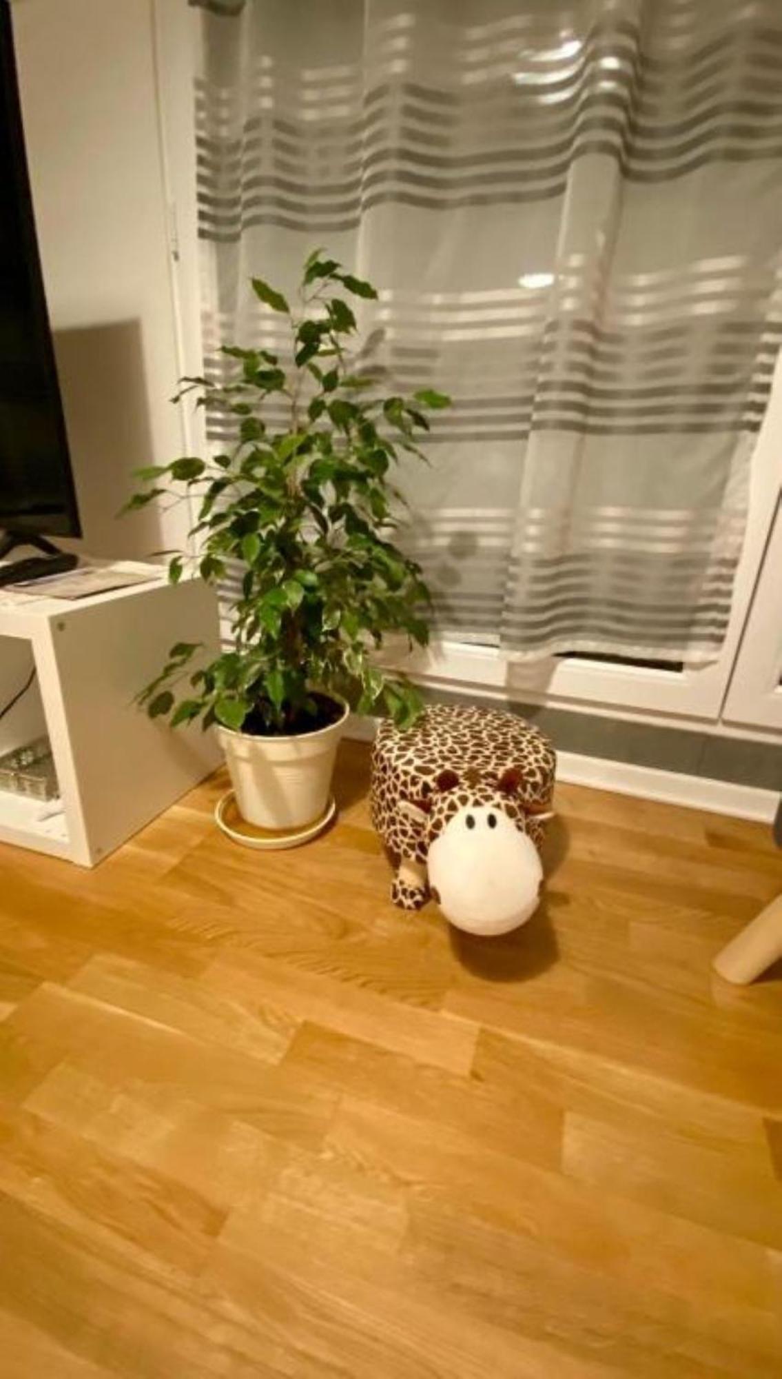 Schoenes Erwachen Im Frankfurter Penthouse Франкфурт-на-Майне Экстерьер фото